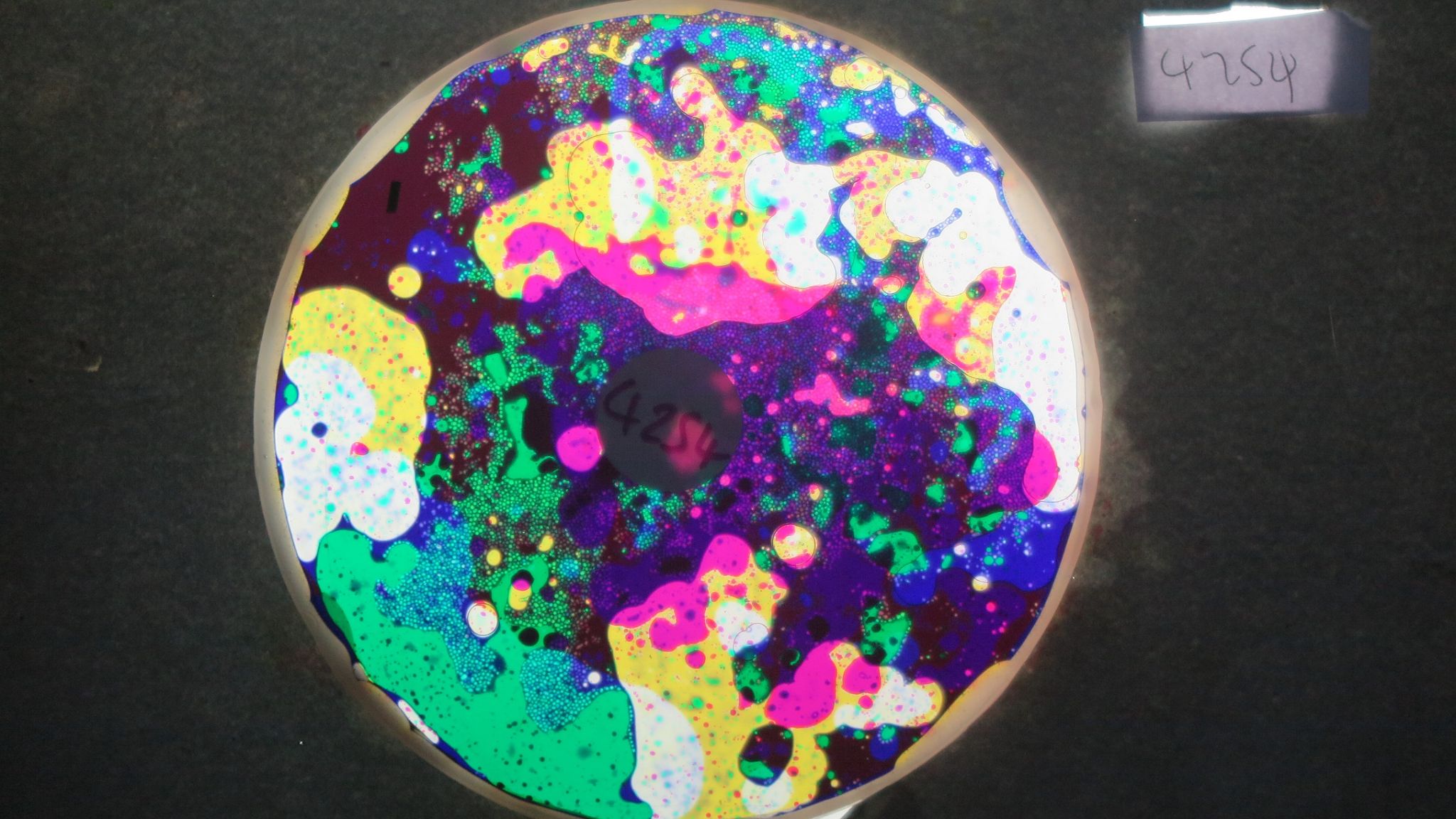 BV4254 bubble vision oil wheel